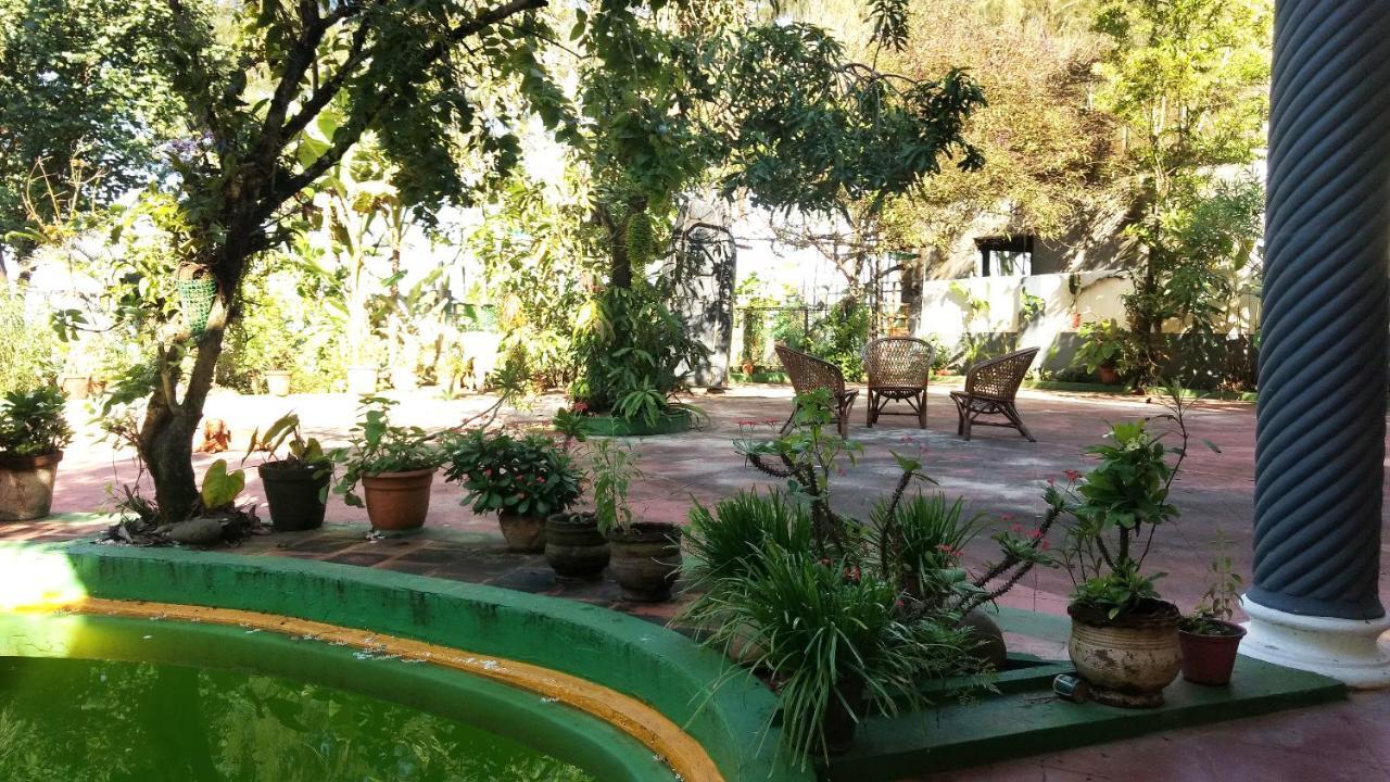 Kadalamma Beach Homestay Alappuzha Bagian luar foto